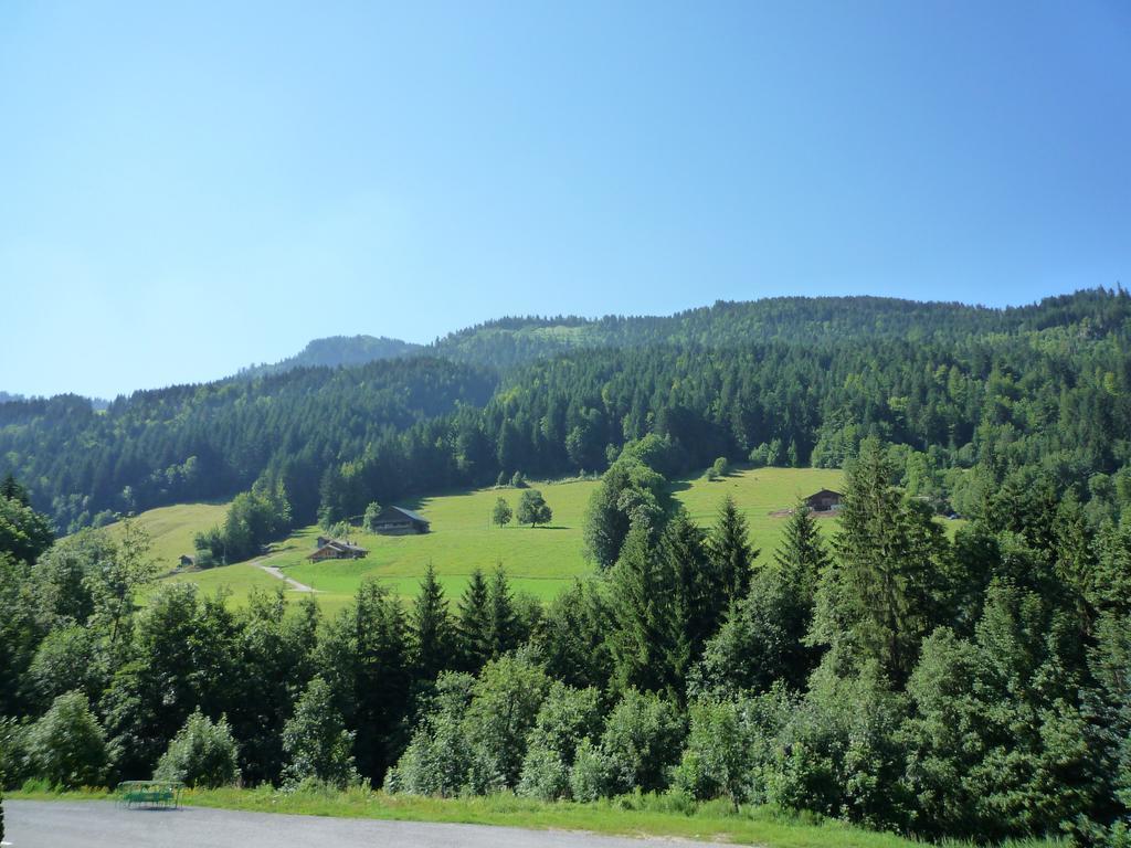Apartamento Aravis Locations Le Grand-Bornand Exterior foto